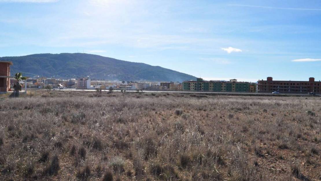 Sale - Land - Pinoso - Pinoso Centro
