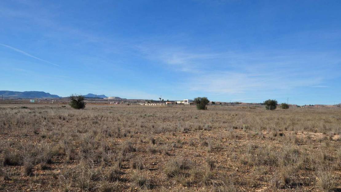 Sale - Land - Pinoso - Pinoso Centro