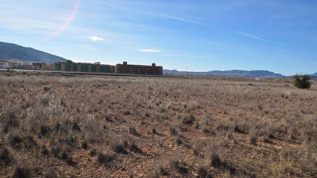 Sale - Land - Pinoso - Pinoso Centro