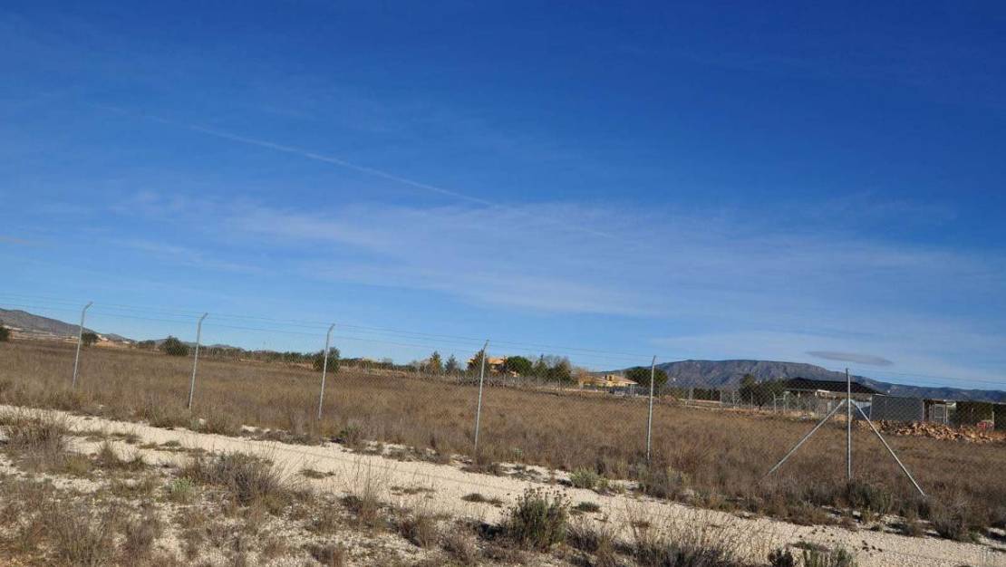 Sale - Land - Pinoso - Pinoso Centro