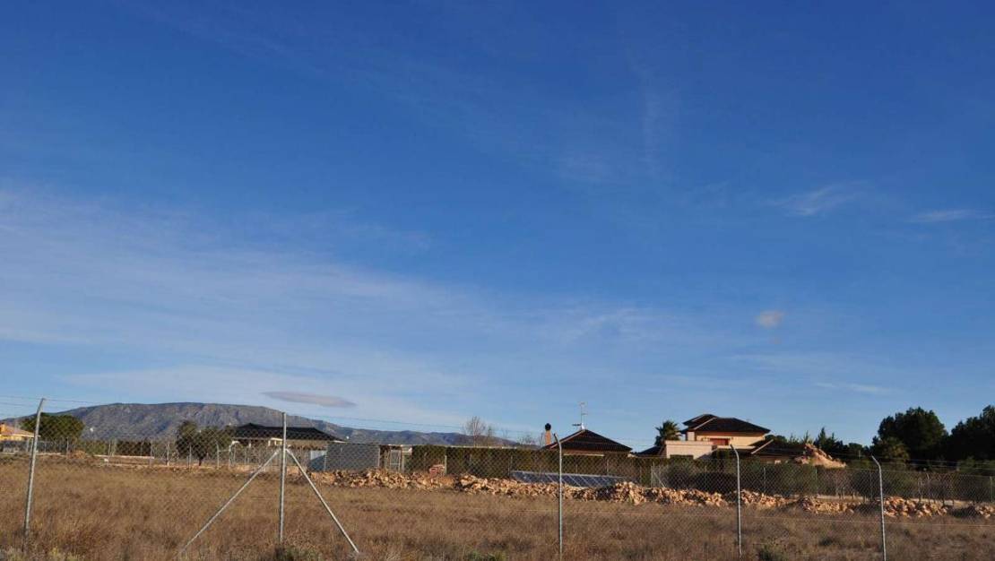 Sale - Land - Pinoso - Pinoso Centro