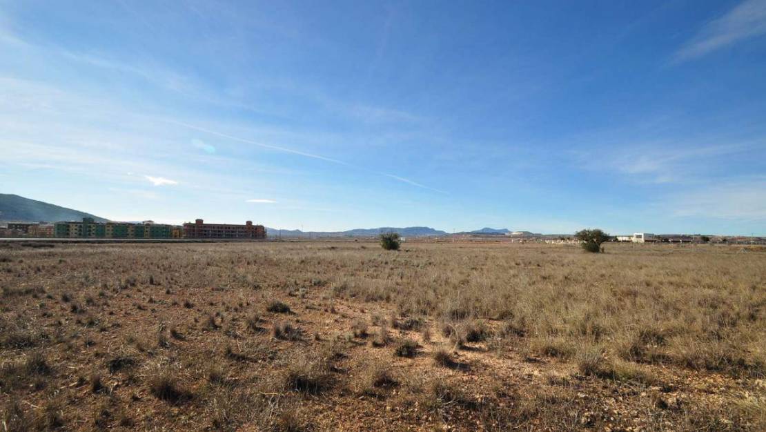 Sale - Land - Pinoso - Pinoso Centro