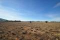 Sale - Land - Pinoso - Pinoso Centro