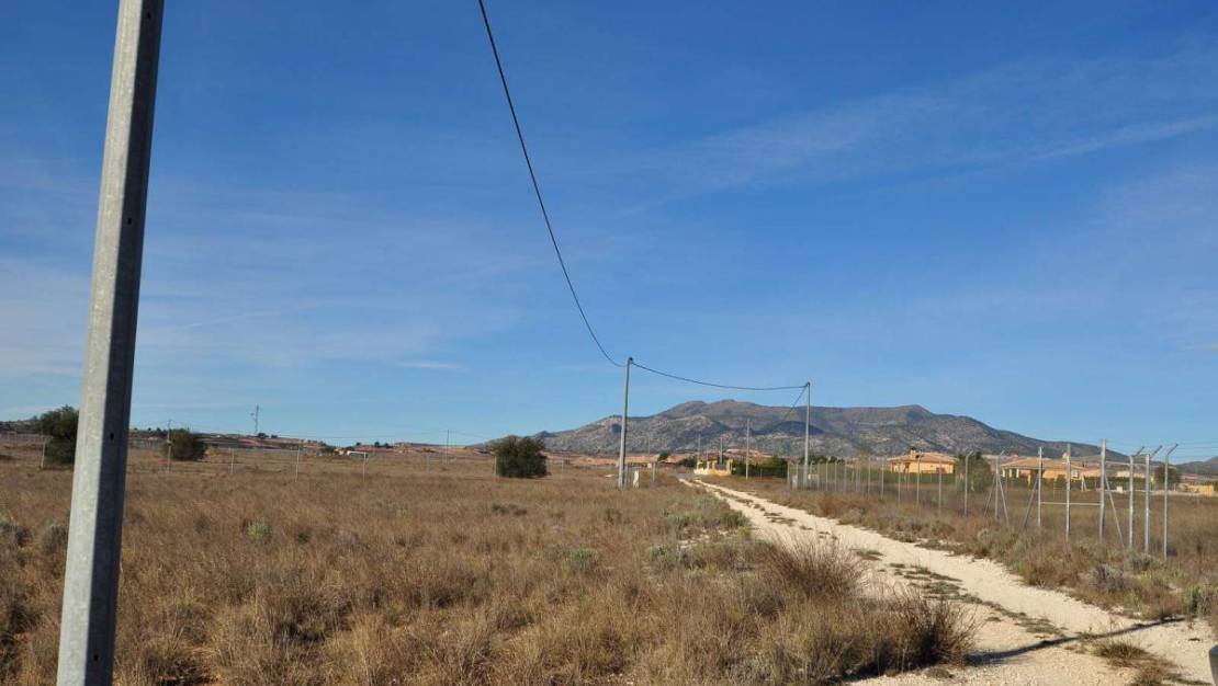 Sale - Land - Pinoso - Pinoso Centro