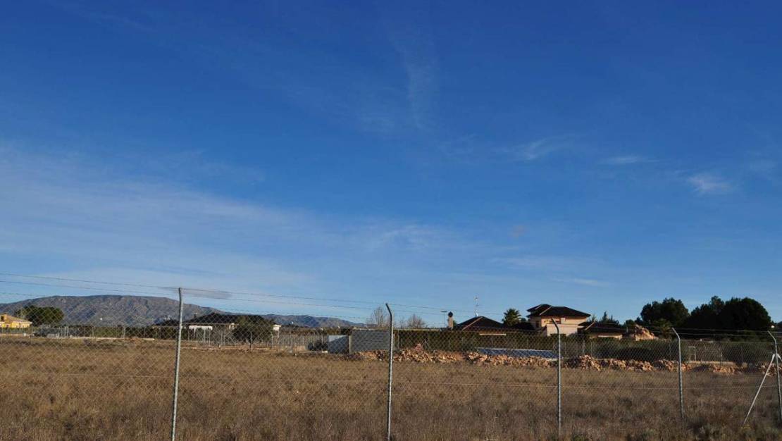 Sale - Land - Pinoso - Pinoso Centro