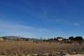 Sale - Land - Pinoso - Pinoso Centro