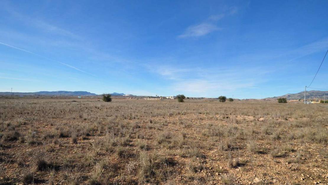 Sale - Land - Pinoso - Pinoso Centro