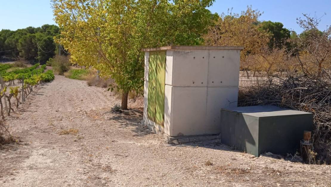 Sale - Land - Pinoso - Pinoso Centro