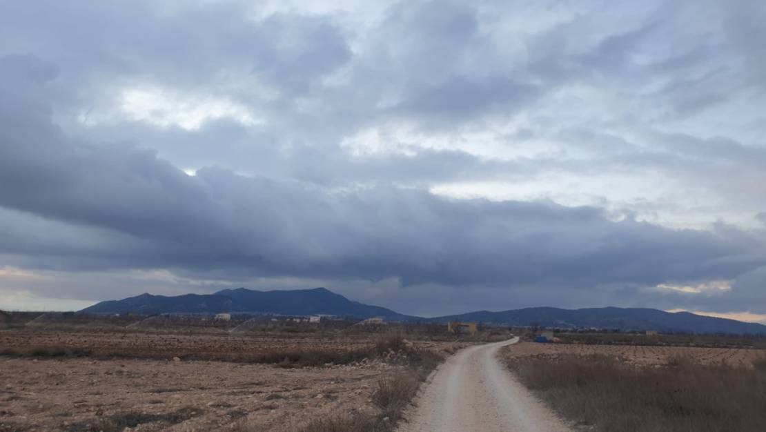 Sale - Land - Pinoso - Pinoso Centro
