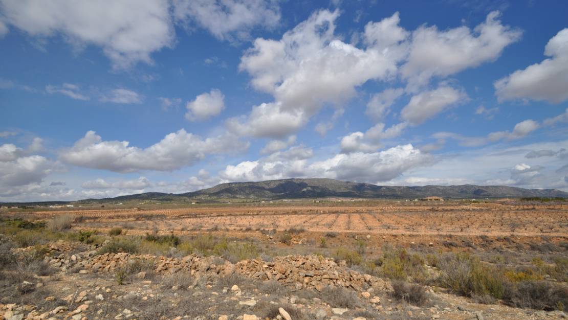 Sale - Land - Pinoso - Pinoso Centro