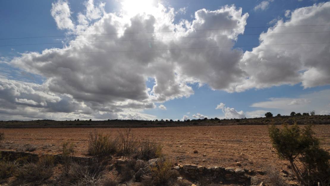 Sale - Land - Pinoso - Pinoso Centro