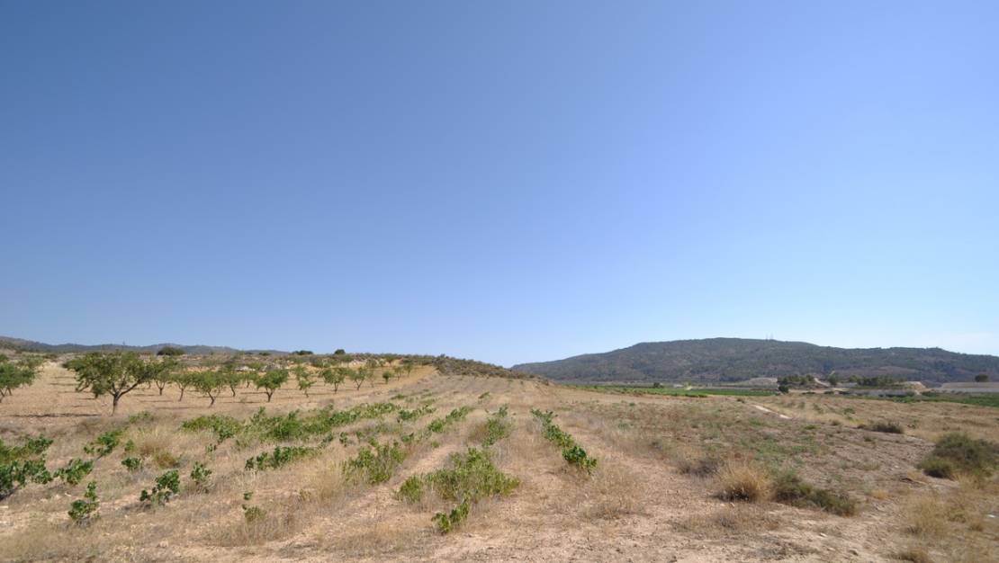 Sale - Land - Pinoso - Pinoso Centro