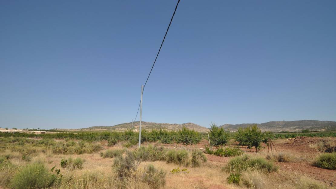 Sale - Land - Pinoso - Pinoso Centro