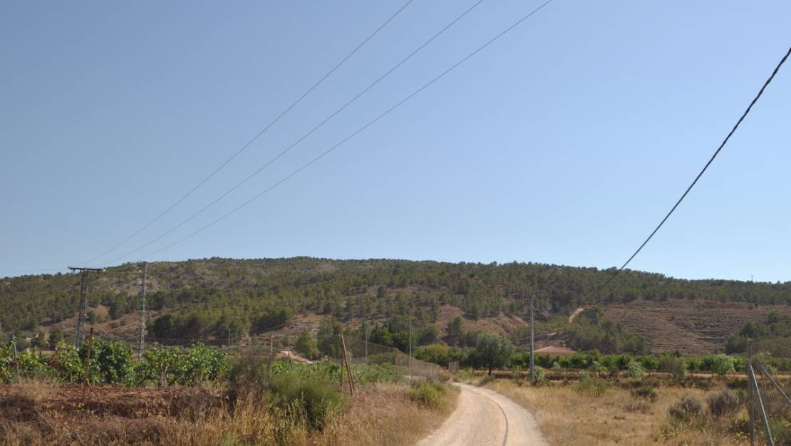 Sale - Land - Pinoso - Pinoso Centro