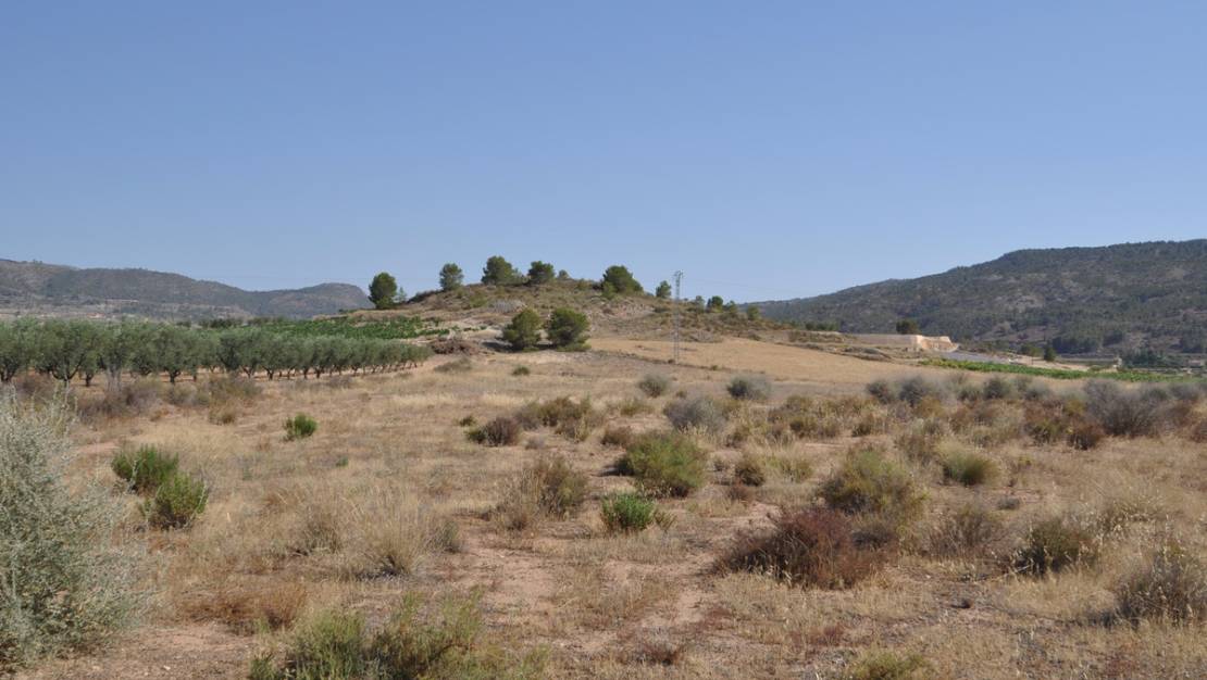 Sale - Land - Pinoso - Pinoso Centro