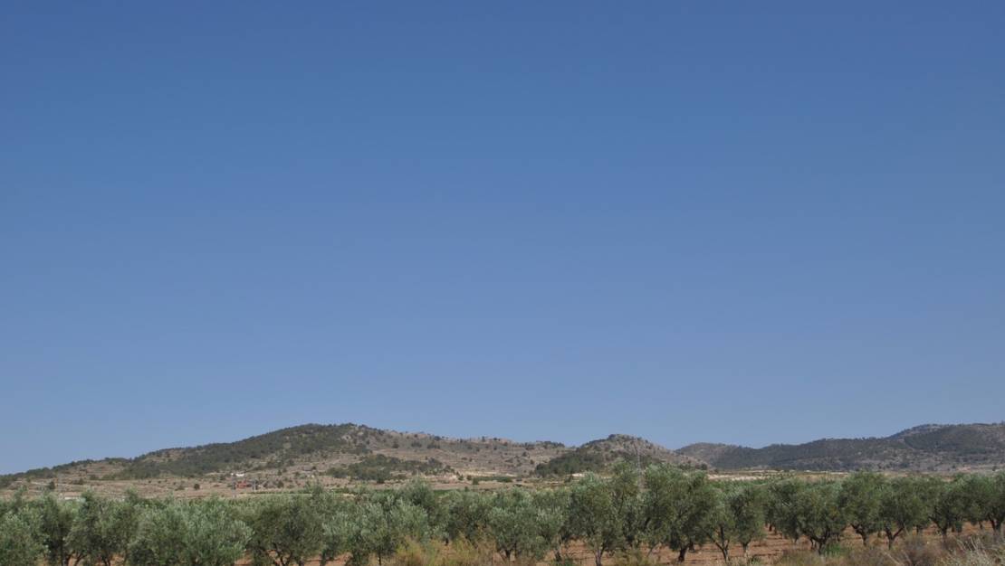 Sale - Land - Pinoso - Pinoso Centro