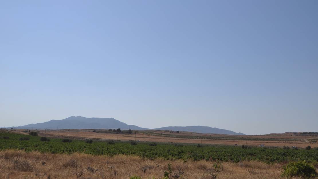 Sale - Land - Pinoso - Pinoso Centro