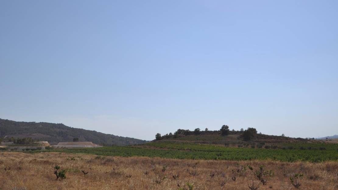 Sale - Land - Pinoso - Pinoso Centro