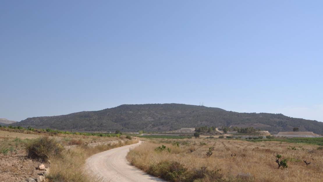 Sale - Land - Pinoso - Pinoso Centro