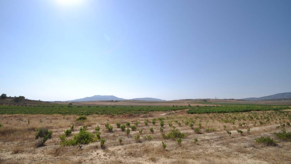 Sale - Land - Pinoso - Pinoso Centro