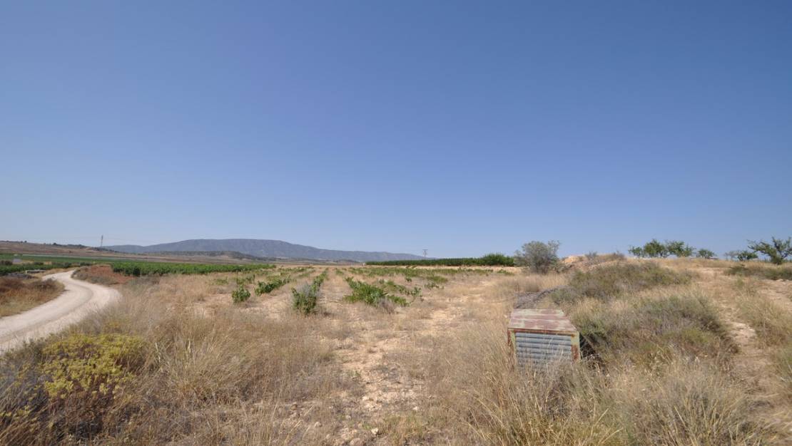 Sale - Land - Pinoso - Pinoso Centro