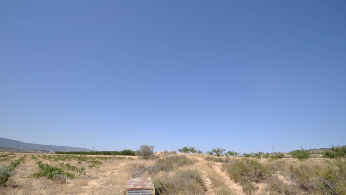 Sale - Land - Pinoso - Pinoso Centro