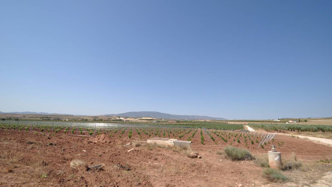 Sale - Land - Pinoso - Pinoso Centro