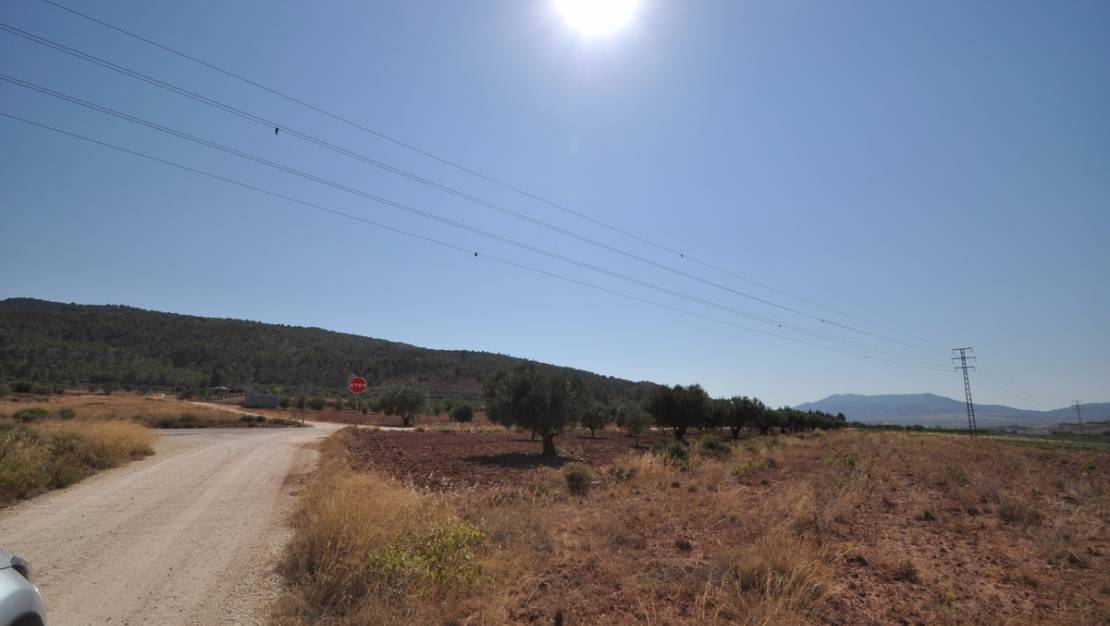 Sale - Land - Pinoso - Pinoso Centro