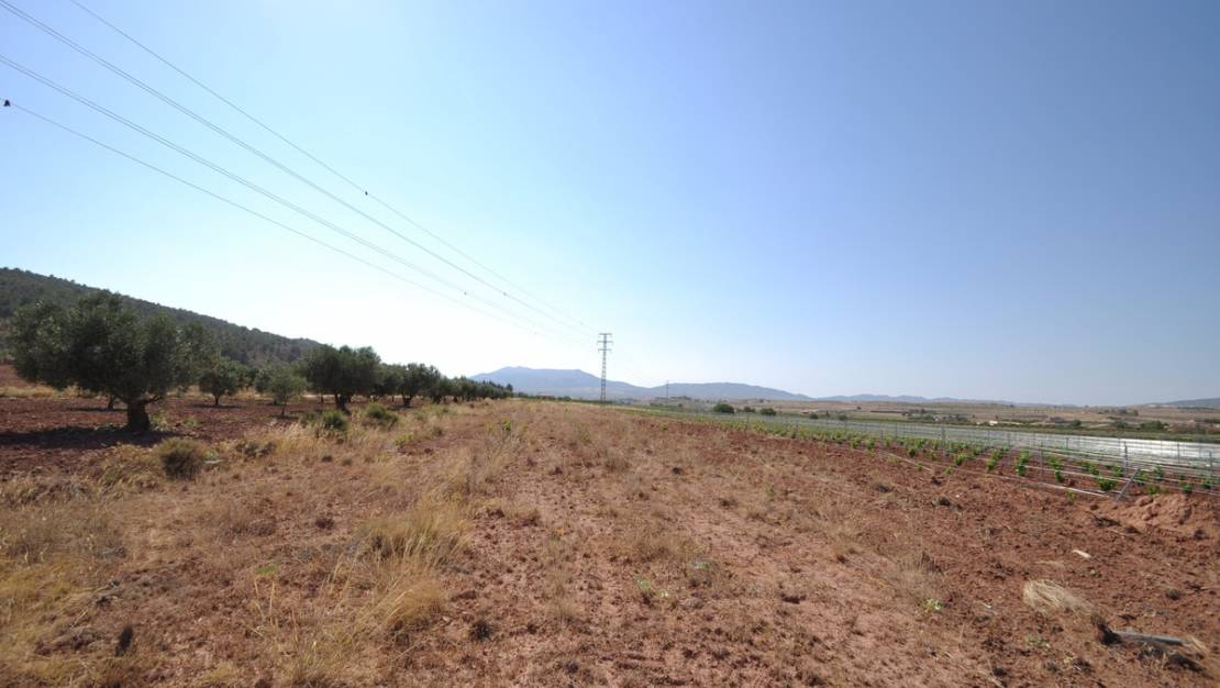 Sale - Land - Pinoso - Pinoso Centro