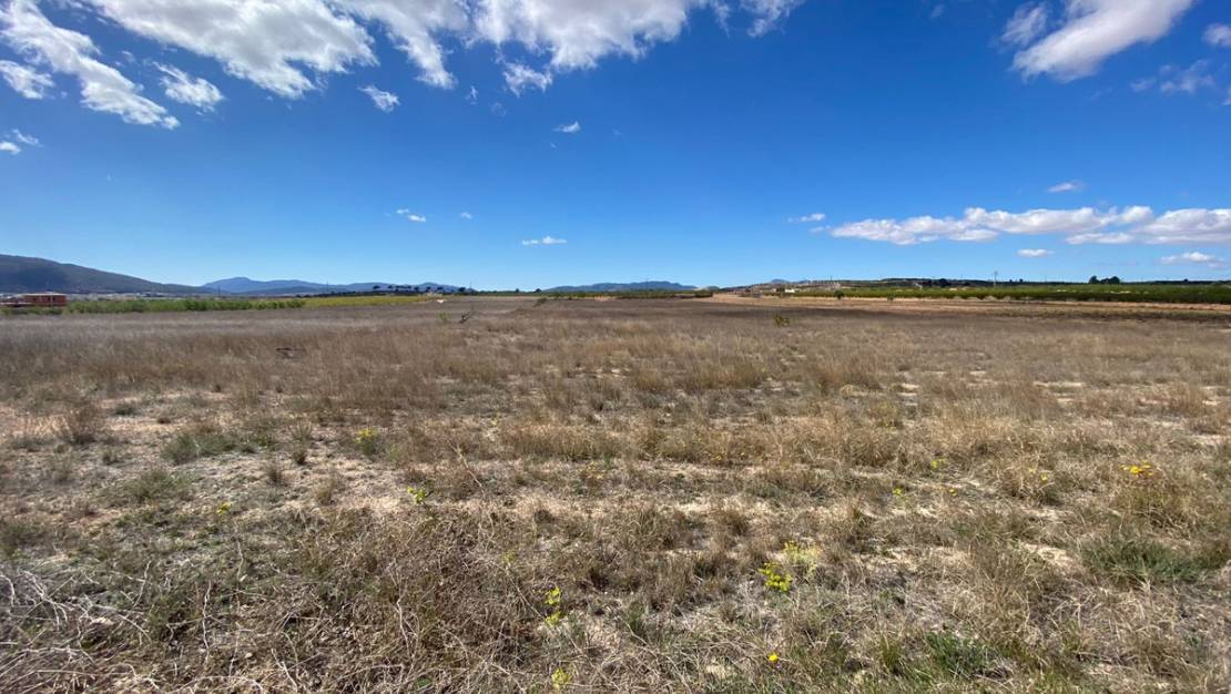 Sale - Land - Pinoso - Pinoso Centro