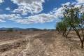 Sale - Land - Pinoso - Pinoso Centro