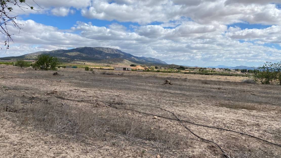 Sale - Land - Pinoso - Pinoso Centro