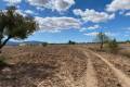 Sale - Land - Pinoso - Pinoso Centro