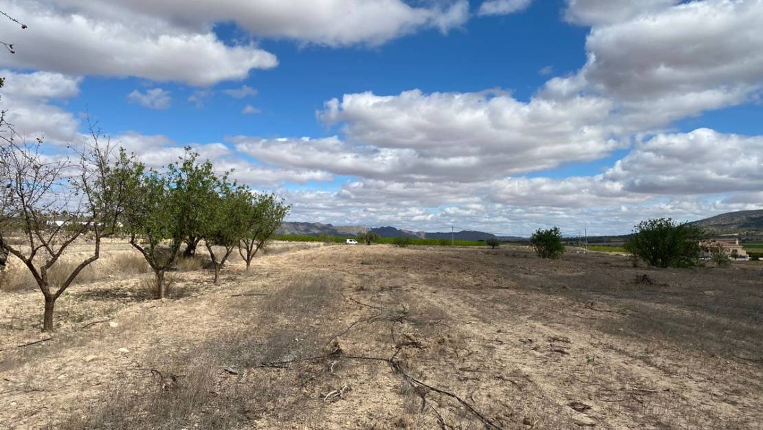 Sale - Land - Pinoso - Pinoso Centro