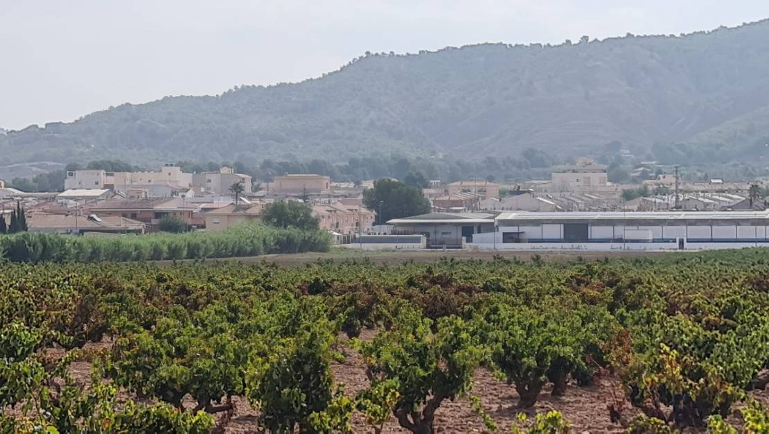 Sale - Land - Pinoso - Pinoso Centro