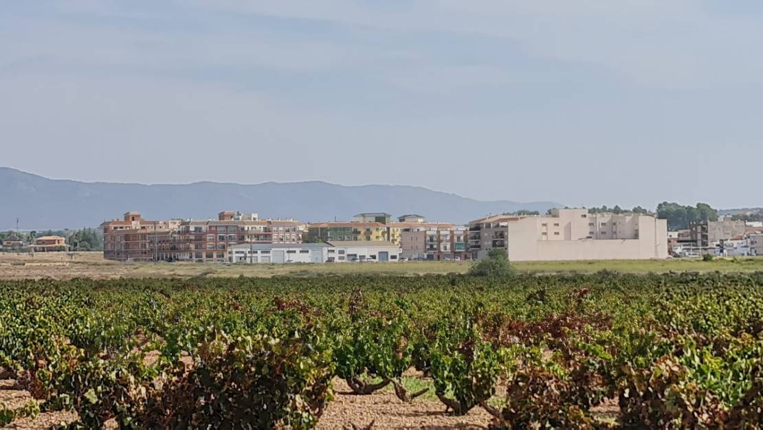 Sale - Land - Pinoso - Pinoso Centro