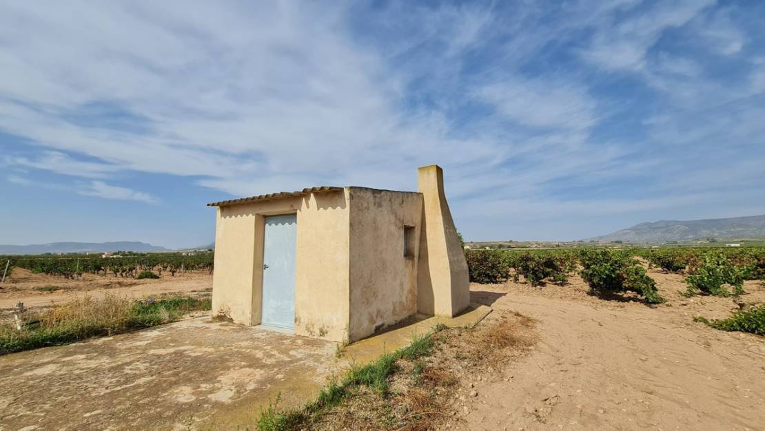 Sale - Land - Pinoso - Pinoso Centro