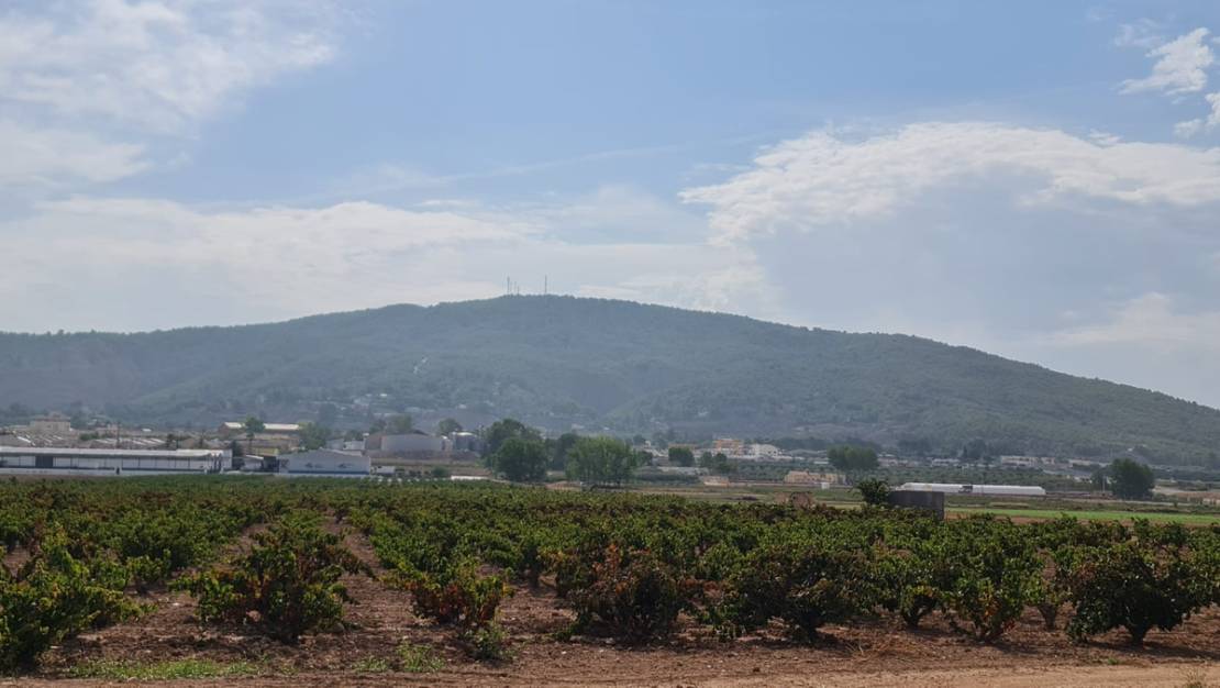 Sale - Land - Pinoso - Pinoso Centro