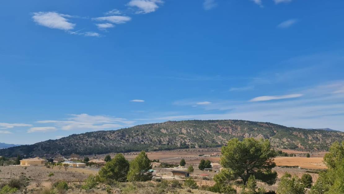 Sale - Land - Pinoso - Pinoso Centro