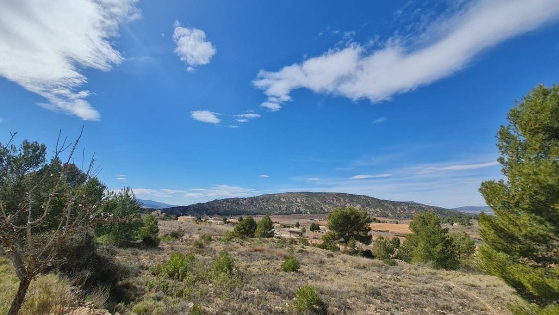 Sale - Land - Pinoso - Pinoso Centro