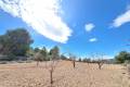 Sale - Land - Pinoso - Pinoso Centro