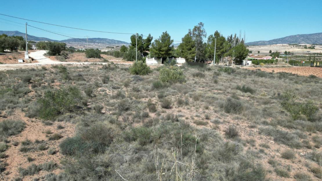 Sale - Land - Pinoso - Pinoso Centro