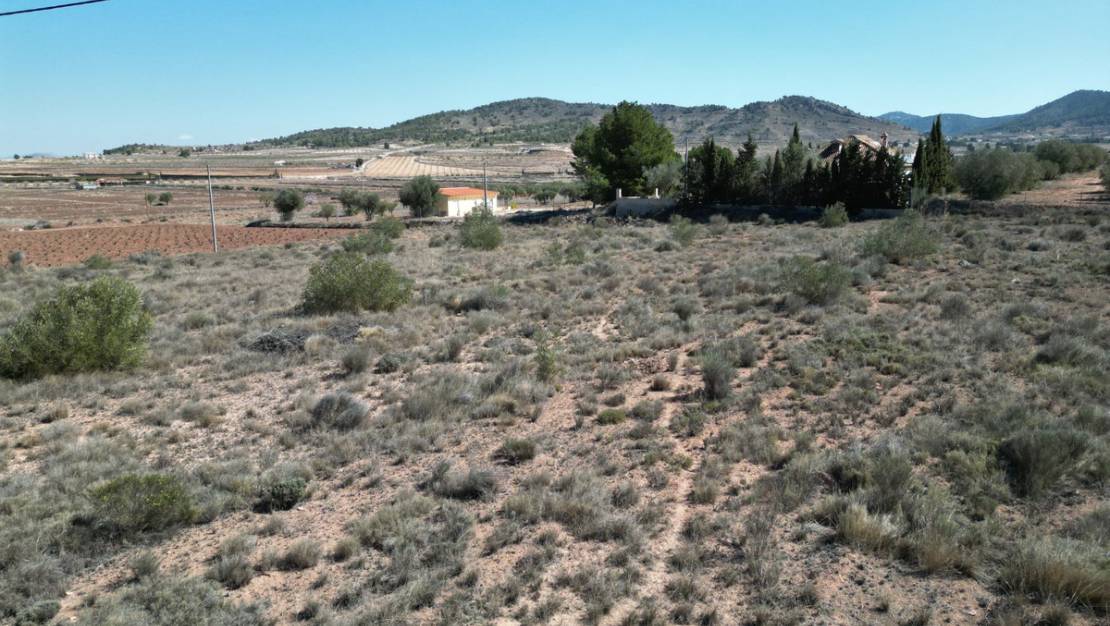 Sale - Land - Pinoso - Pinoso Centro