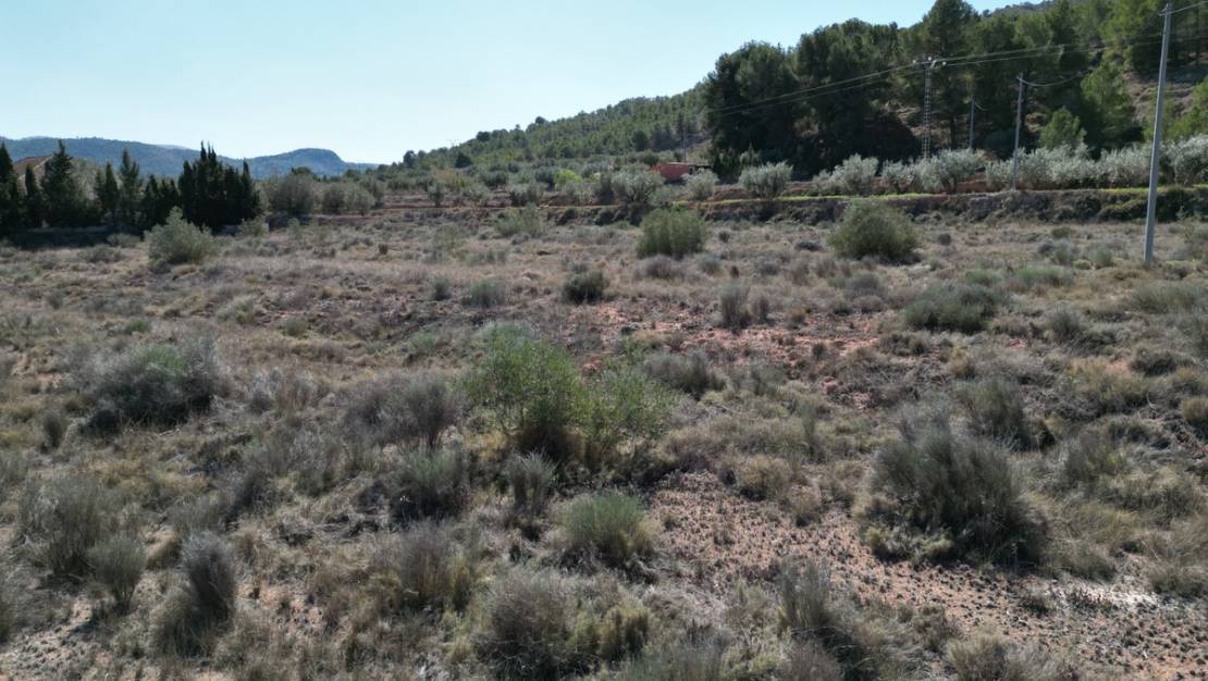 Sale - Land - Pinoso - Pinoso Centro