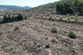 Sale - Land - Pinoso - Pinoso Centro