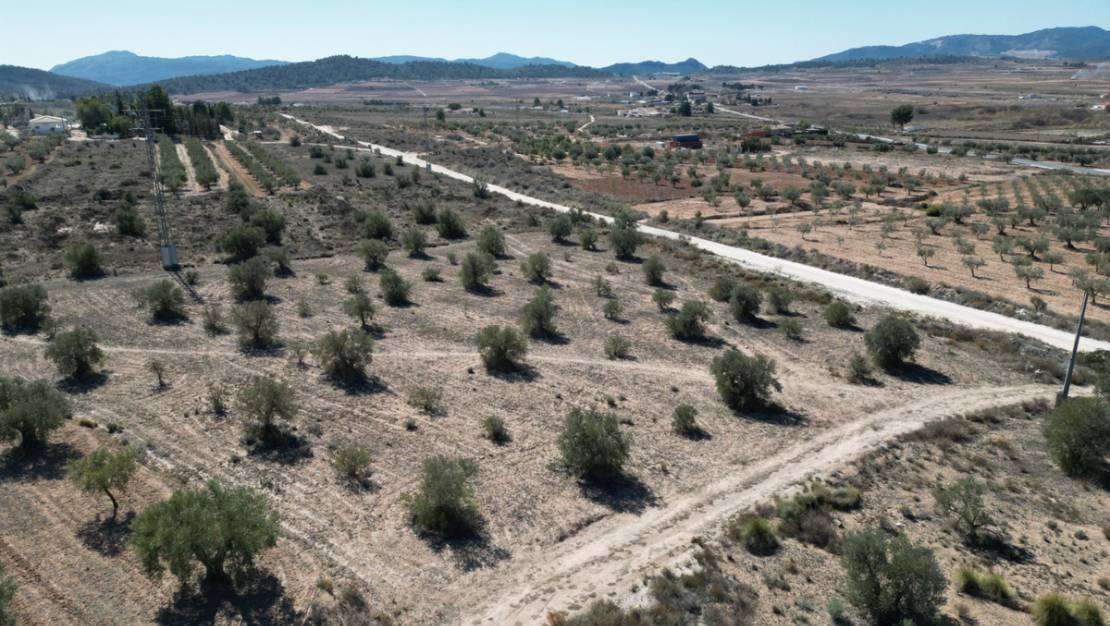 Sale - Land - Pinoso - Pinoso Centro