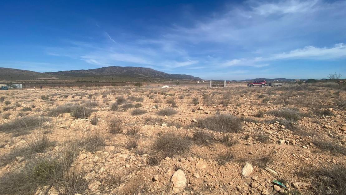 Sale - Land - Pinoso - Pinoso Centro