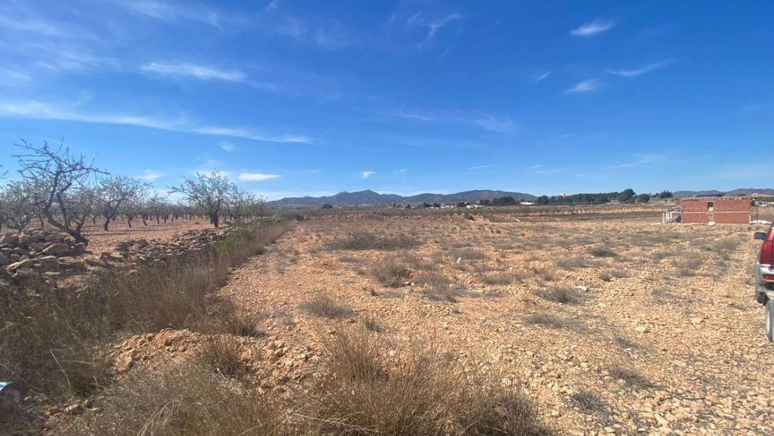 Sale - Land - Pinoso - Pinoso Centro