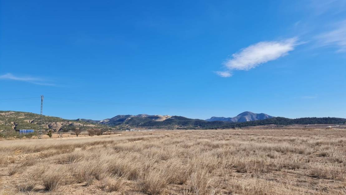 Sale - Land - Pinoso - Pinoso Centro