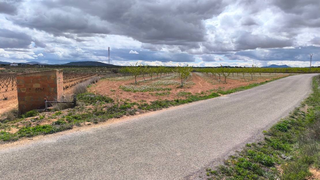 Sale - Land - Pinoso - Pinoso Centro